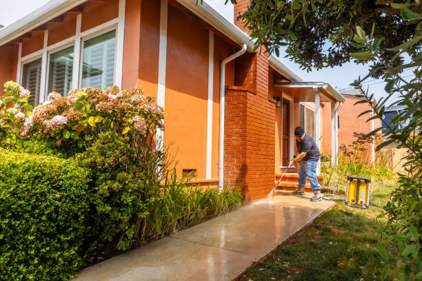 Best Pressure Washing Driveway  in Westmont, IL
